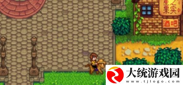 星露谷物语太阳精华在哪刷