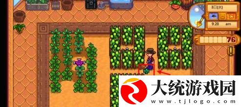星露谷物语淡啤酒怎么酿