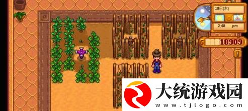 星露谷物语淡啤酒怎么酿