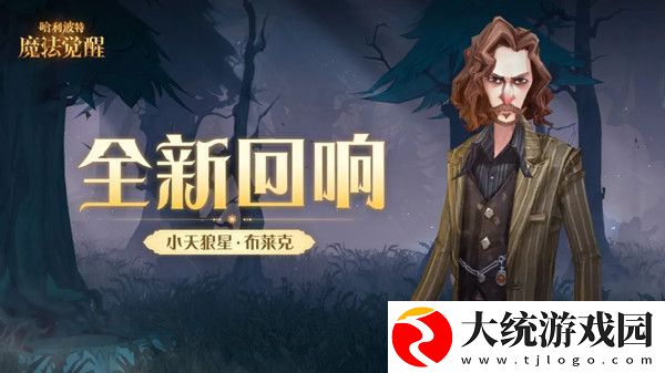 哈利波特魔法觉醒小天狼星回响怎么样