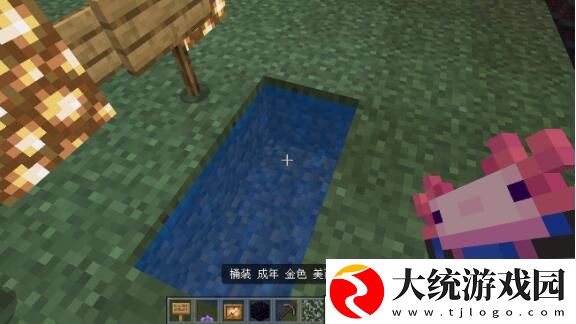 我的世界美西螈如何驯服