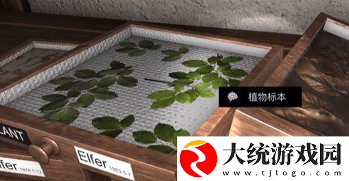 孙美琪疑案三级线索植物标本在哪
