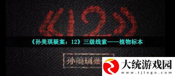 孙美琪疑案三级线索植物标本在哪
