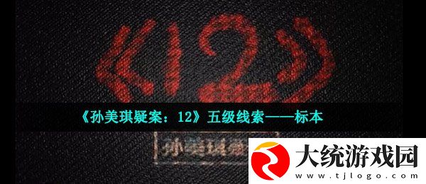 孙美琪疑案12标本在哪