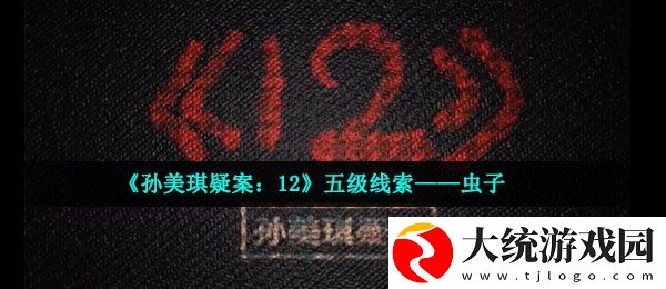 孙美琪疑案12五级线索虫子在哪