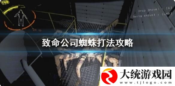 致命公司蜘蛛怎么打