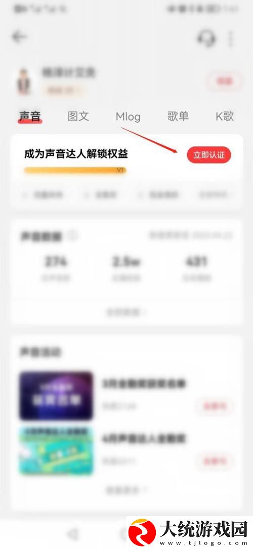 网易云音乐达人是什么