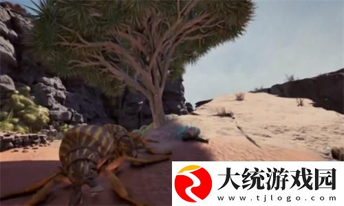 宣誓甲壳戒指在哪