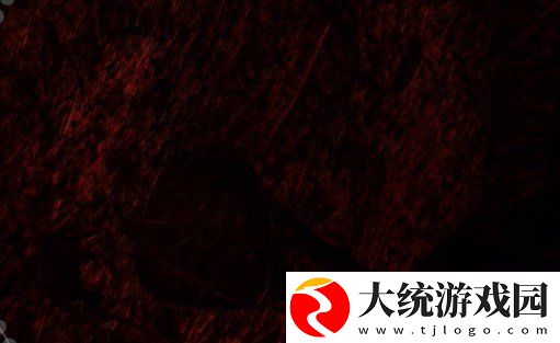 孙美琪疑案12五级线索虫子在哪