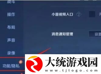 王者荣耀v10皮肤共享是否限制