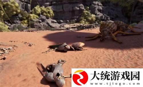 宣誓甲壳戒指在哪