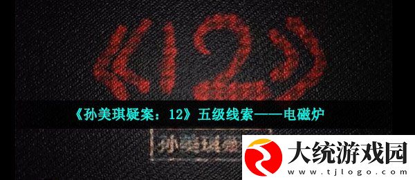 孙美琪疑案12五级线索电磁炉在哪