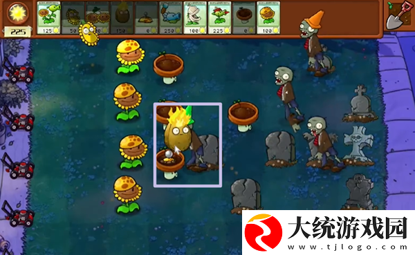 植物大战僵尸杂交版冒险模式第5关怎么通关