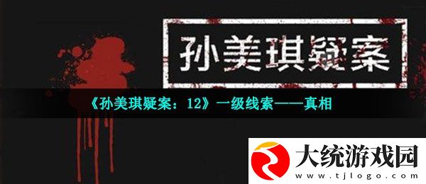 孙美琪疑案12一级线索在哪