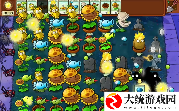 植物大战僵尸杂交版冒险模式第5关怎么通关
