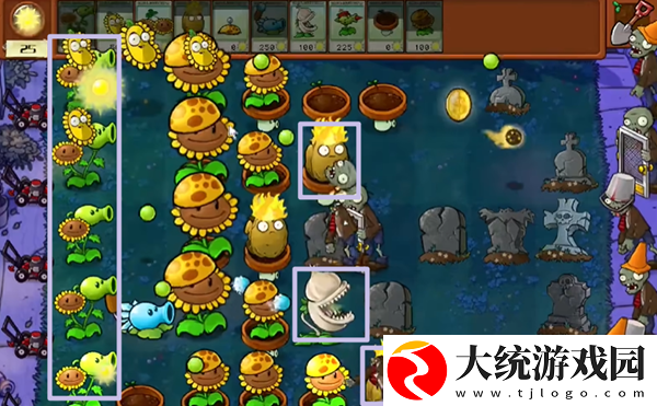 植物大战僵尸杂交版冒险模式第5关怎么通关