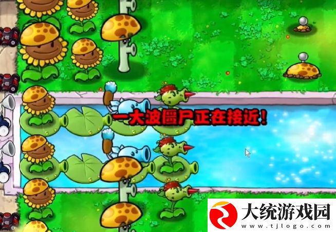 植物大战僵尸杂交版冒险模式第12关怎么通关