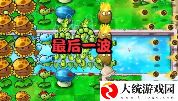 植物大战僵尸杂交版冒险模式第14关怎么通关