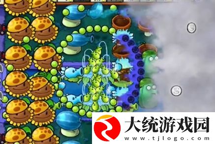 植物大战僵尸杂交版冒险模式第19关怎么通关