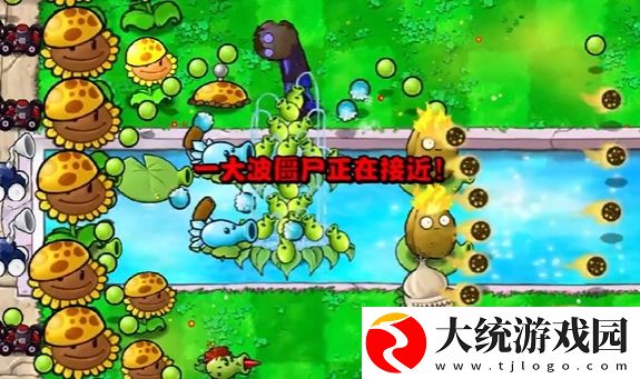 植物大战僵尸杂交版冒险模式第14关怎么通关