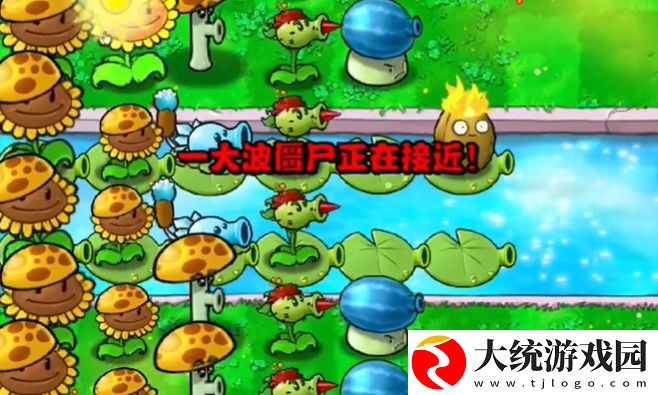植物大战僵尸杂交版冒险模式第12关怎么通关