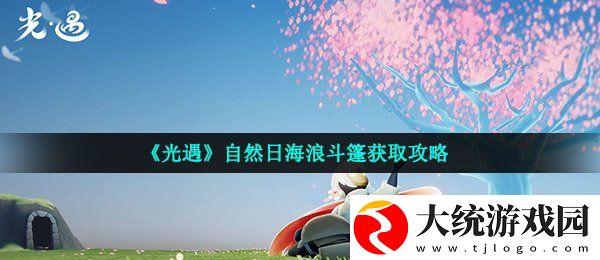 光遇自然日斗篷在哪里获得