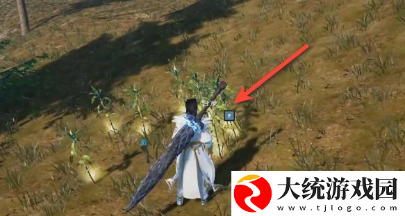 太荒初境甘蔗在哪
