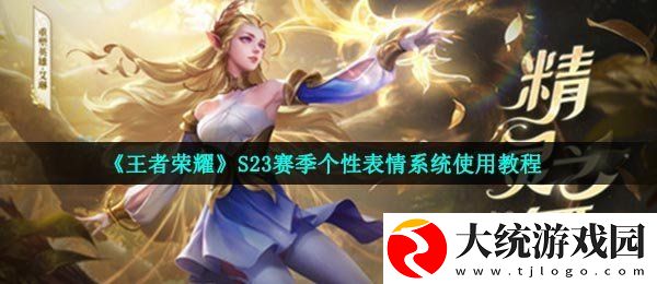王者荣耀个性表情怎么用