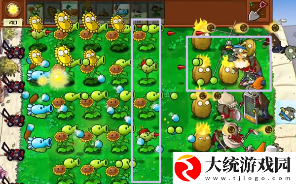植物大战僵尸杂交版冒险模式第3关怎么通关