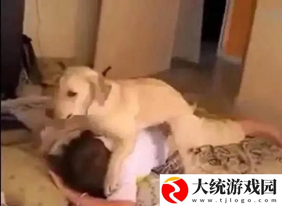 探索“大狗锁住女人狗的视频大全”的趣味世界