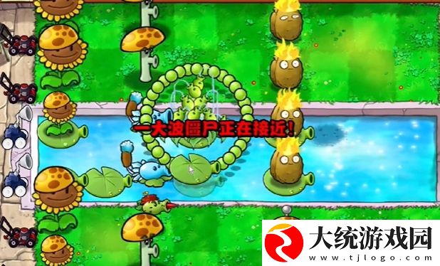植物大战僵尸杂交版冒险模式第13关怎么通关
