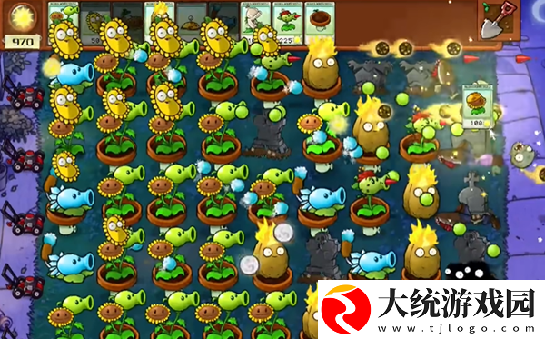 植物大战僵尸杂交版冒险模式第4关怎么通关