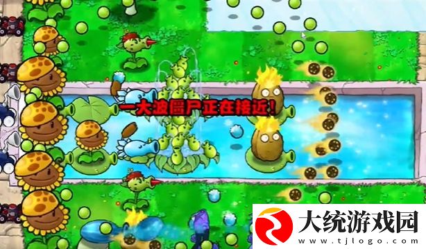 植物大战僵尸杂交版冒险模式第13关怎么通关