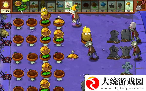 植物大战僵尸杂交版冒险模式第9关怎么通关