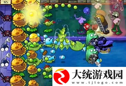 植物大战僵尸杂交版冒险模式第20关怎么通关