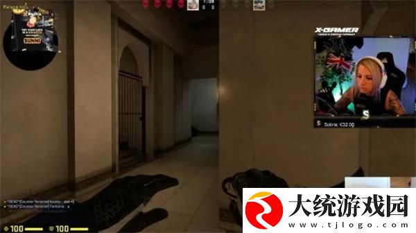 暴躁老阿姨csgo暴躁妹妹是什么意思