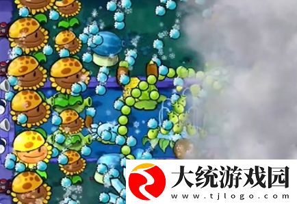 植物大战僵尸杂交版冒险模式第21关怎么通关