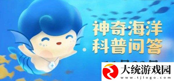 白骨壤是红树林的先锋树种