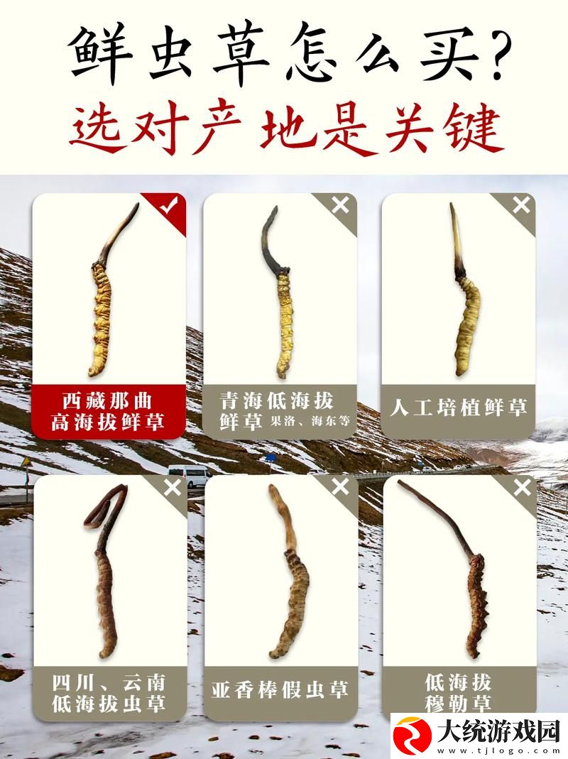 探索嫩草精产一二三产区的独特魅力