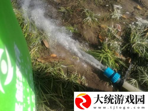在“被系统浇灌的日常”中寻找自我