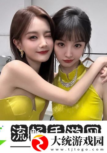 同学的妈妈陈姨刘盈
