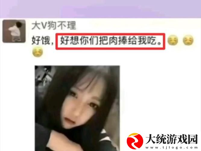 探寻“大肉大捧一进一出的视频”的背后故事与深层意义