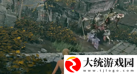 艾尔登法环黄金树幽影约兰与安娜骨灰怎么样