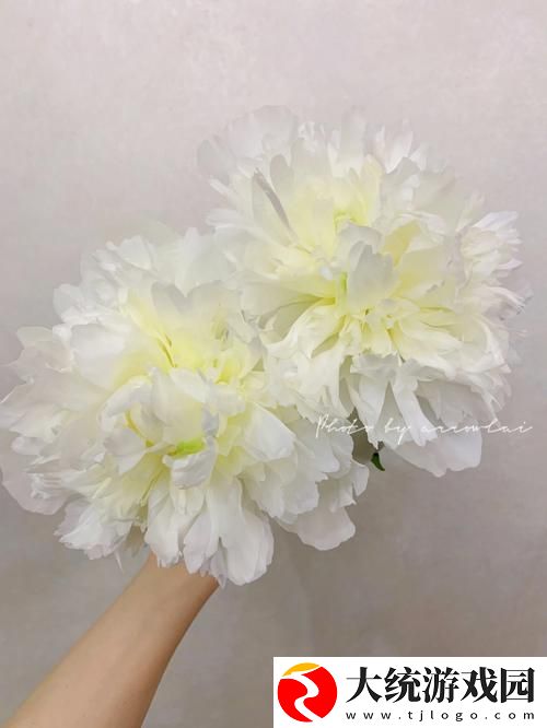 独特魅力双阳插花芯