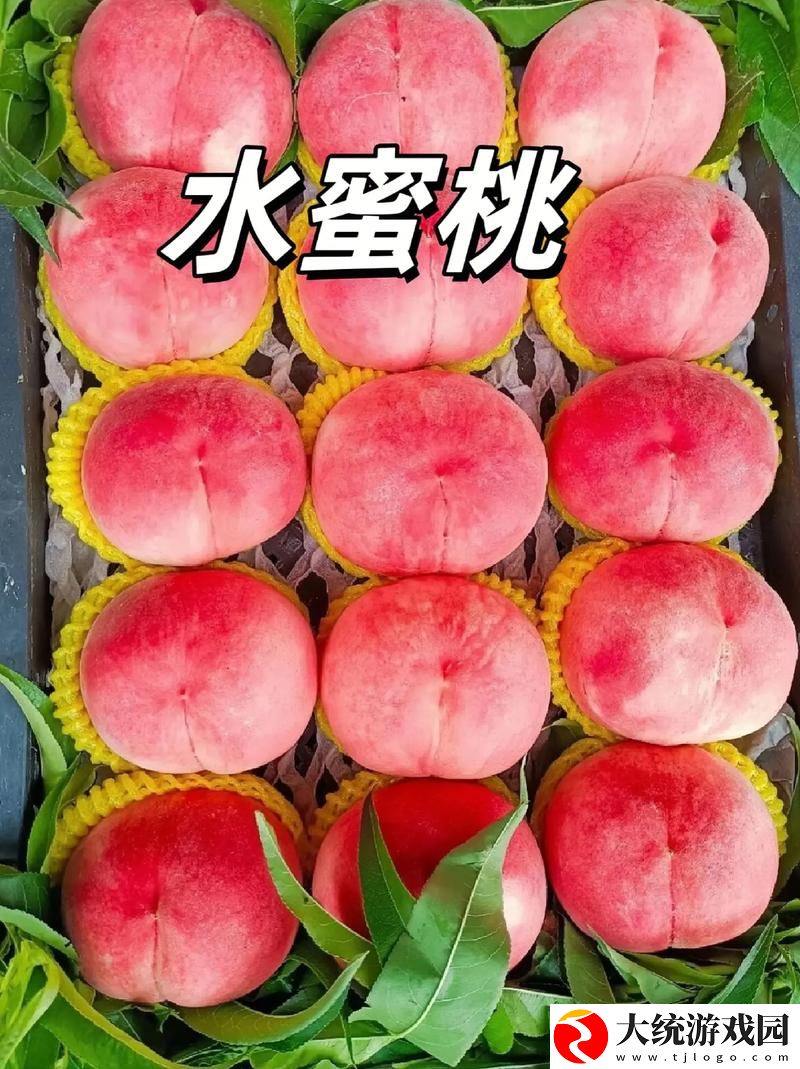 体验极致的快乐——爽⋯好大⋯快⋯水蜜桃视频的魅力