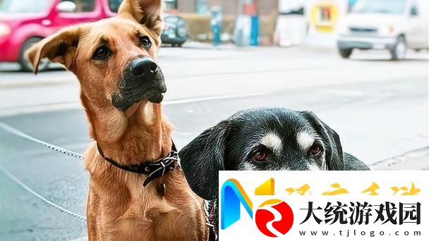 人狗大战2高清正版免费揭秘