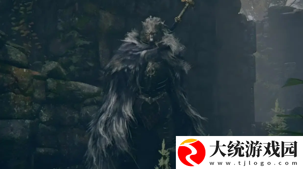 黄金树幽影法师防具带什么