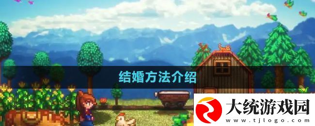 星露谷物语怎么结婚