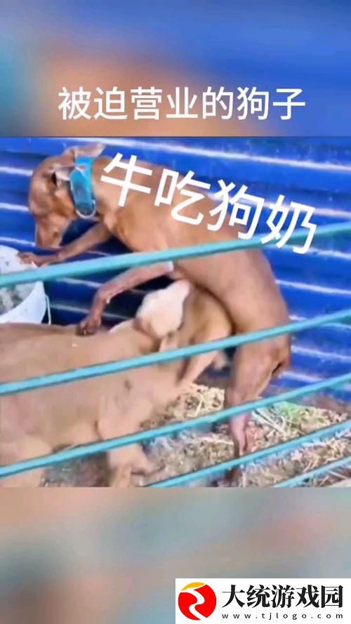 当“公天天吃我奶躁我”成了生活的调味品