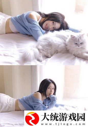 探索欧式72种扦插法的注意事项：让每位爱好者都能轻松掌握的技巧与秘诀！